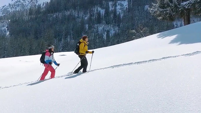 Winter Bliss in Heidiland: Alpine Strolls and Savory Fondue Delights